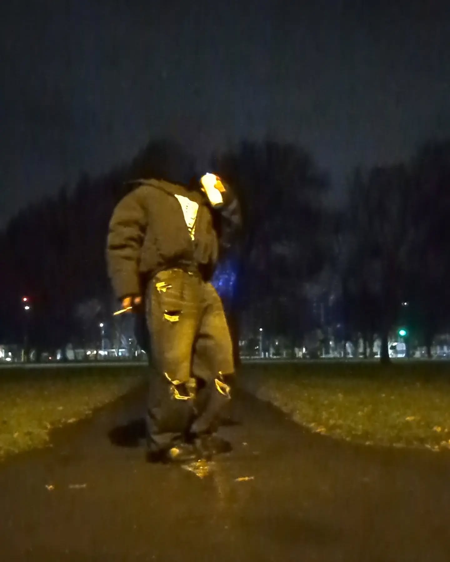 1 (19)